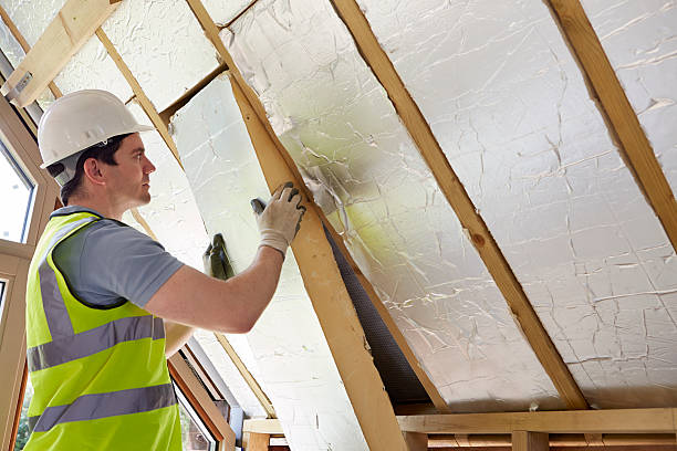 Best Commercial Insulation Services  in Lorenzo, TX